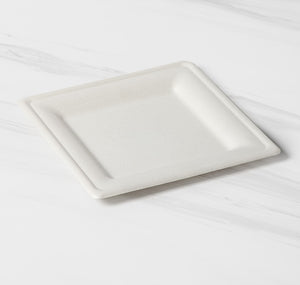 Biodegradable & Compostable Bagasse Plate 210x210 & 160x160