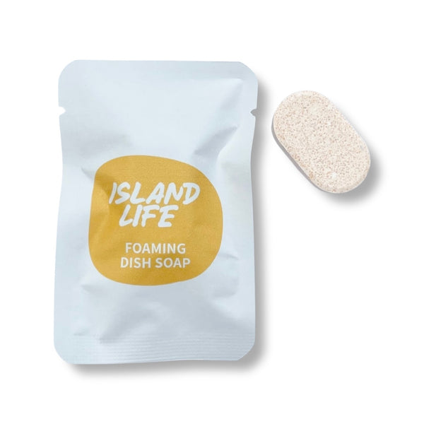 FOAMING DISH SOAP GIFT SET